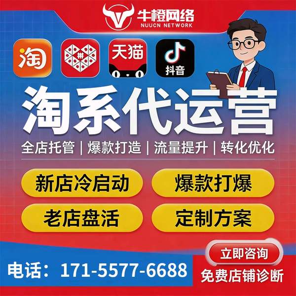 商洛电商代运营
