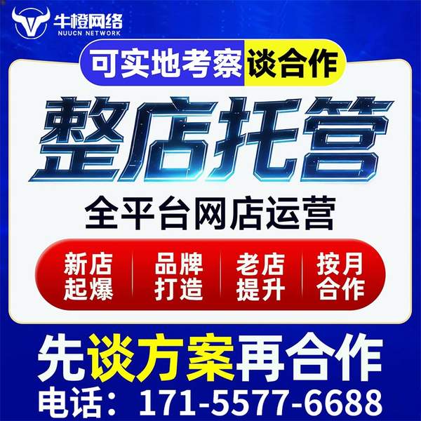 商洛电商代运营