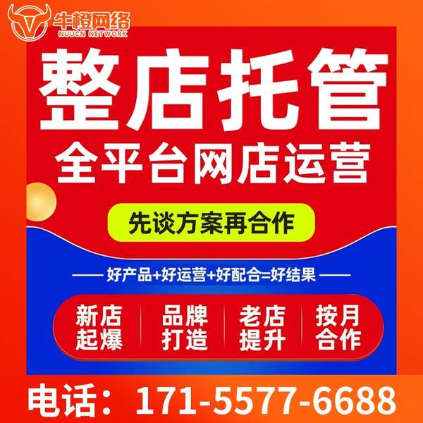 商洛电商代运营
