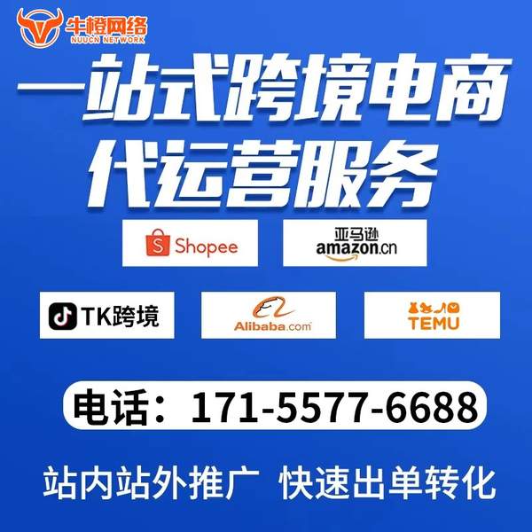 商洛电商代运营